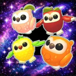Owl Bundle
