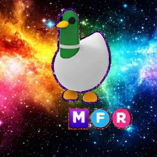 MFR Silly Duck