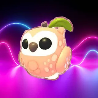 Peach Owl