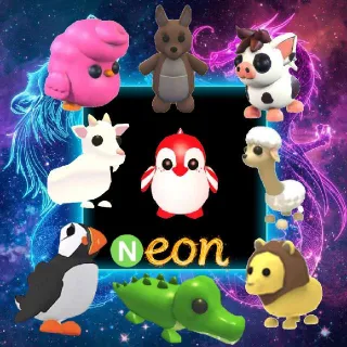 9x Popular Neon Bundle