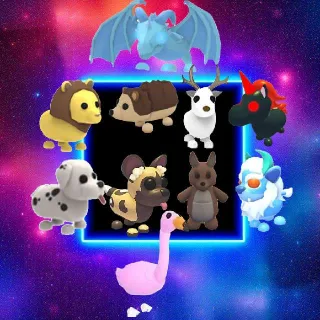 10x Mid/High Tier Bunde