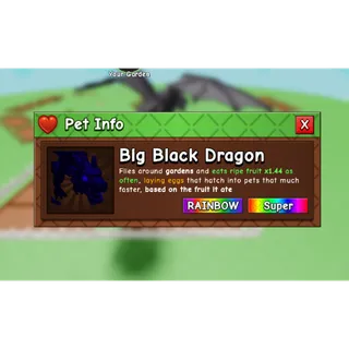 big rainbow black dragon