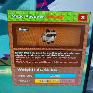 Huge Mage Racoon
