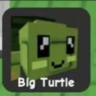 Big Turtle