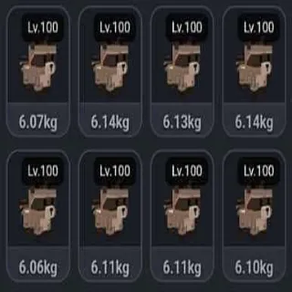 X8 HUGE RACOON
