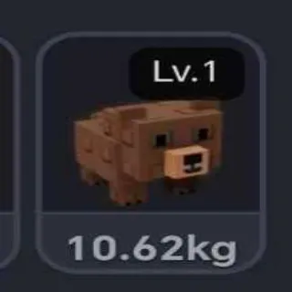 Colossal Bear