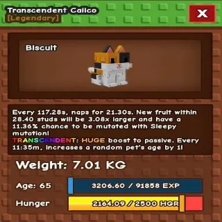 Huge Transcedent Calico