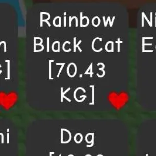 Titanic Rainbow Black Cat