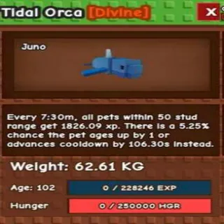 Huge Tidal Orca