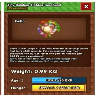 Rainbow Hotdog Daschund