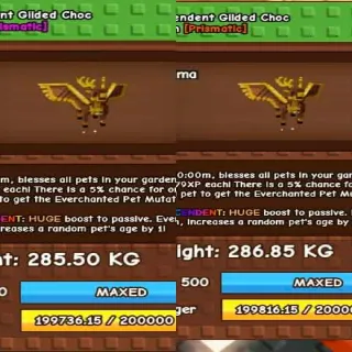 X2 Huge Transcedent Glided Choc Peryton