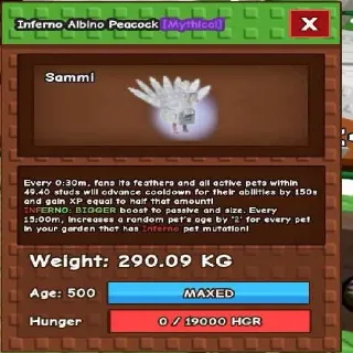 Huge Inferno Albino Peacock