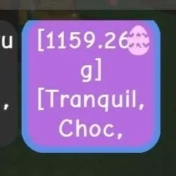 2.2 Billion Chocolate Coins