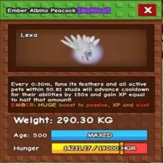 Huge Ember Albino Peacock