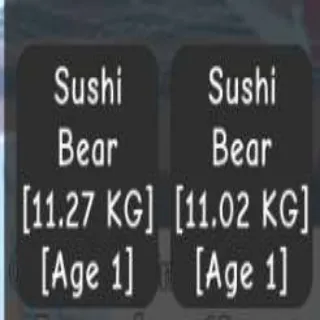 2X COLOSSAL SUSHI BEAR 11+KG
