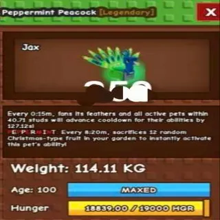 Colossal Peppermint Peacock 114kg