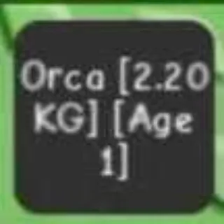Orca - Grow A Garden