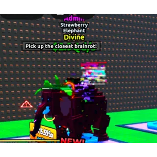 Strawberry Elephant - ETFB