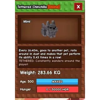 Huge Tethered Chinchilla