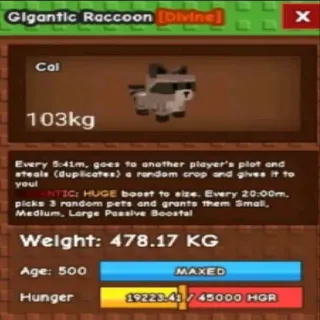 Colossal Gigantic Racoon