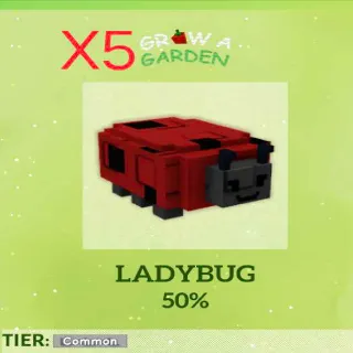 Ladybug