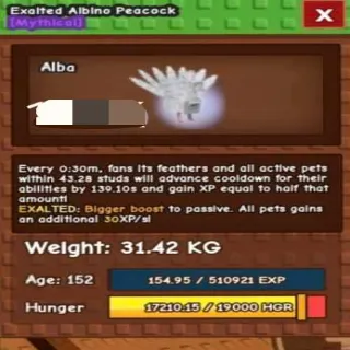 Exalted Albino Peacock