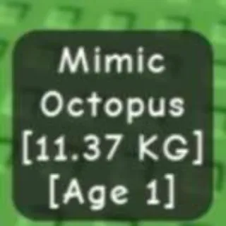 Colossal Mimic Octopus