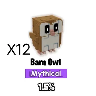 Barn Owl