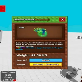 Godly Rainbow Peacock