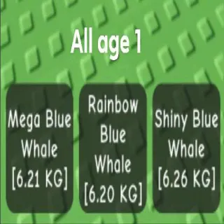 X3 Huge Blue Whale