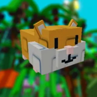 Hamster X2