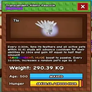 Huge Transcedent Albino Peacock