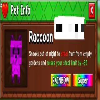 Rainbow Racoon