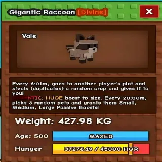 Huge Gigantic Racoon