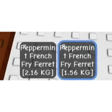 Peppermint French Fry Ferret