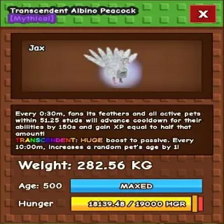 Huge Transcedent Albino Peacock