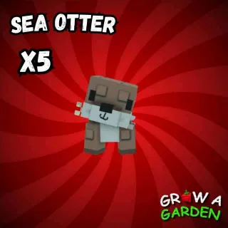 Sea Otter