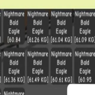 Huge Nightmare Bald Eagle 60kg