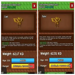 X2 Everchanted Glided Choc Peryton