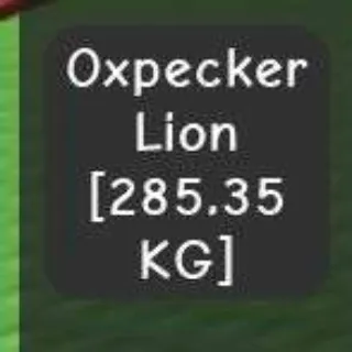 Huge Oxpecker Lion