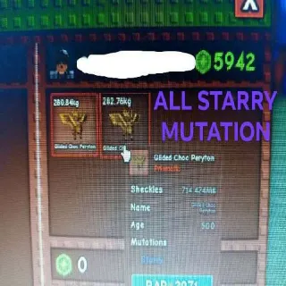 X2 HUGE STARRY GLIDED CHOC PERYTON