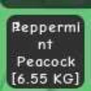 HUGE PEPPERMINT PEACOCK