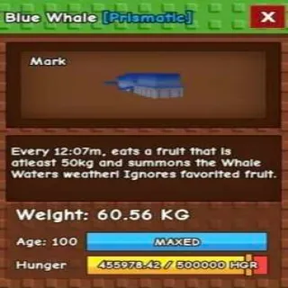 Blue Whale