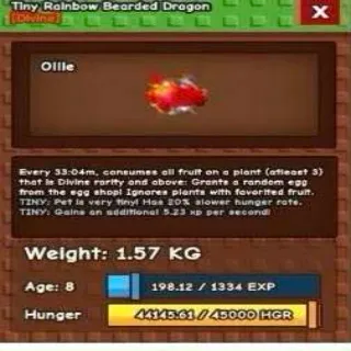 Rainbow  Bearded Dragon