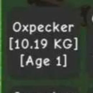 Colossal Oxpecker