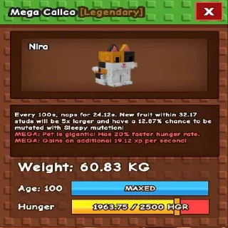 Huge Mega Calico