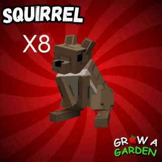 Squirrel