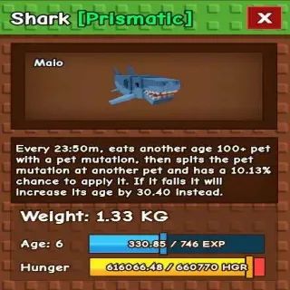 Shark