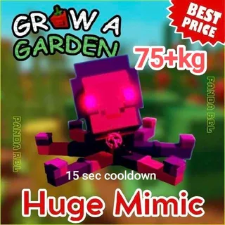 Huge Mimic Octopus 75+Kg