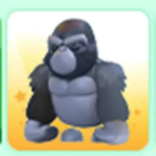 Silverback Gorilla